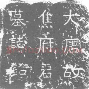 唐代 楷书墓志拓片《大周唐故文林郎焦府君墓志铭》高清图片欣赏
