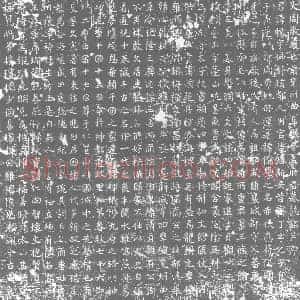 唐代 楷书墓志拓片《大周故处士前兖州曲阜县令盖府君墓志铭》高清图片欣赏