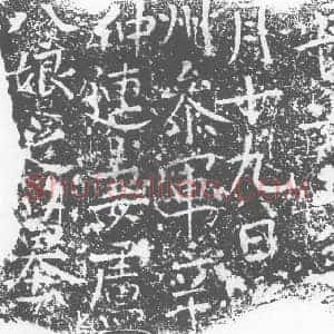 唐代 楷书墓志拓片《□州参军辛仲连妻卢八娘之墓》高清图片欣赏
