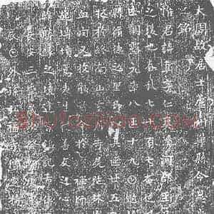 唐代 楷书墓志拓片《大周故居士芦州巢县令息尚君之铭》高清图片欣赏