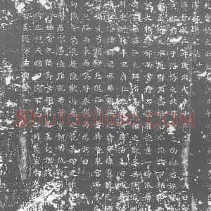 唐代 楷书墓志拓片《大唐故太中大夫 泗州刺史赵本质妻温氏晋阳郡君墓志》高清图片欣赏