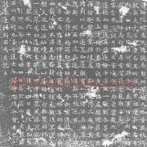 唐代 楷书墓志拓片《大唐大弘道观主故三洞法师侯尊志文》高清图片欣赏