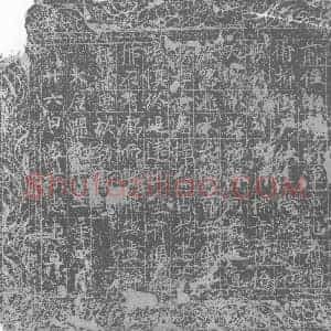 唐代 楷书墓志拓片《前任游□将军京兆府宿卫折冲尹伏生塔铭》高清图片欣赏