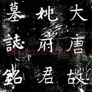 唐代 楷书墓志拓片《大唐故左羽林军长史姚府君墓志铭》高清图片欣赏
