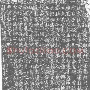 唐代 楷书墓志拓片《□□处士张君墓志铭》高清图片欣赏