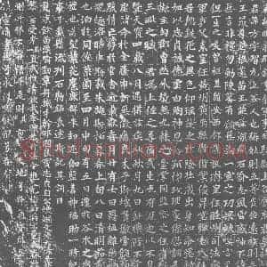 唐代 楷书墓志拓片《唐故顺义郡録事参军事飞骑尉上谷侯府君墓志》高清图片欣赏