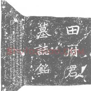 唐代 楷书墓志拓片《唐故淮南节度讨击副使光禄大夫试殿中监兼泗州长史上柱国北平...》高清图片欣赏