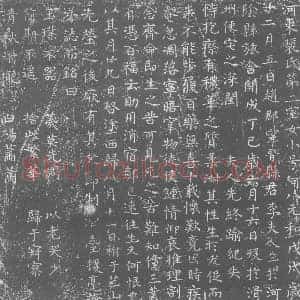 唐代 楷书墓志拓片《河东裴氏第二室女小号阿八》高清图片欣赏