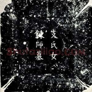 唐代 楷书墓志拓片《唐鸿胪卿致仕赠工部尚书琅耶支公长女炼师墓志铭》高清图片欣赏