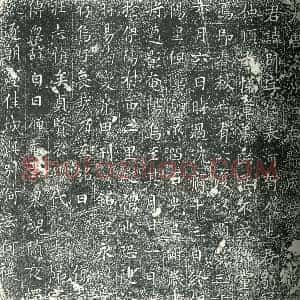 唐代 楷书墓志拓片《大唐洛州河南县成君墓志铭》高清图片欣赏