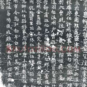 唐代 楷书墓志拓片《沧州饶安县丰乐乡瑞集里故人严依仁铭》高清图片欣赏