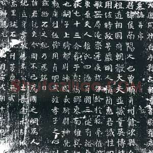唐代 楷书墓志拓片《大唐同州白水县故轻车都尉张府君墓志》高清图片欣赏