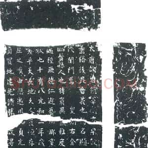 唐代 楷书墓志拓片《大唐故右领军卫左果毅都尉樊□言□墓志》高清图片欣赏