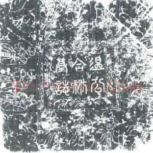 唐代 楷书墓志拓片《唐故幽州节度衙前讨击副使太中大夫试殿中监温府君合祔墓志》高清图片欣赏