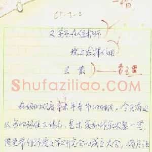 王蒙文稿手迹