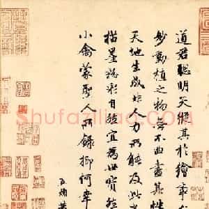 赵孟頫行书欣赏《跋赵佶竹禽图》