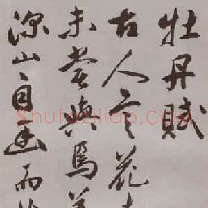 祝允明行草书法《牡丹赋》