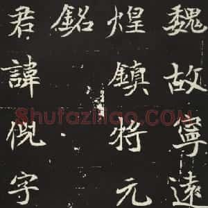 前秦北朝 魏碑元倪墓志(全本)