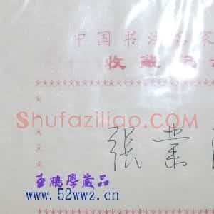 张业法书法签名欣赏