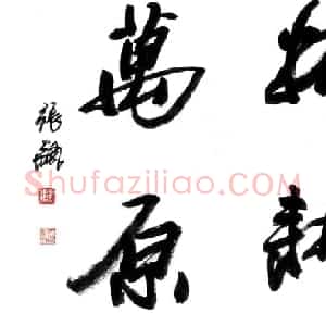 张飙书法作品欣赏