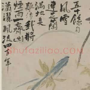 清代画家石涛花卉图册 美国弗利尔美术馆藏