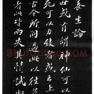 苏轼小楷欣赏《养生论》拓本