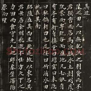 郑孝胥行楷书法欣赏《东园记》原刻拓片