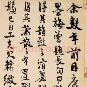 赵孟坚书法题跋《雪中梅竹图》