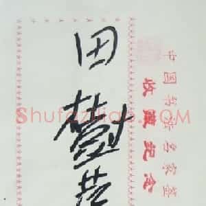 田树苌书法签名欣赏