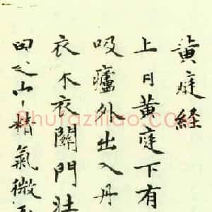 赵孟頫为亲家束季博临黄庭经