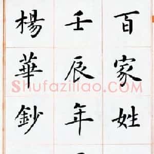 杨华书法欣赏楷书钞《百家姓》