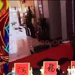 2017春晚《五福临门贺新春》5位书法家书写福字